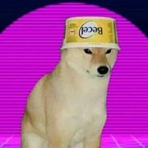 Meet your Posher, Kurtlan